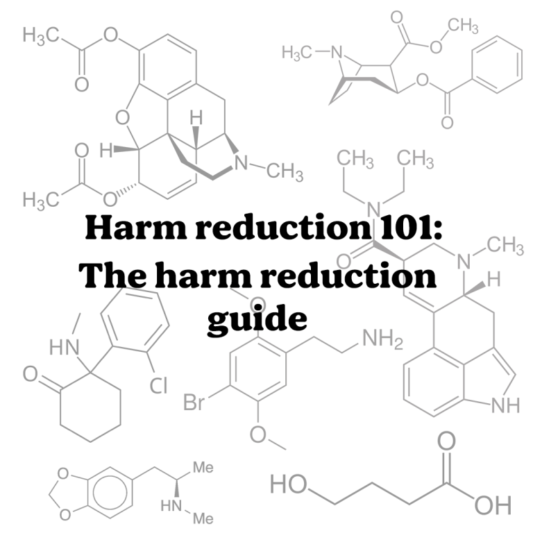 Harm reduction 101: The harm reduction guide