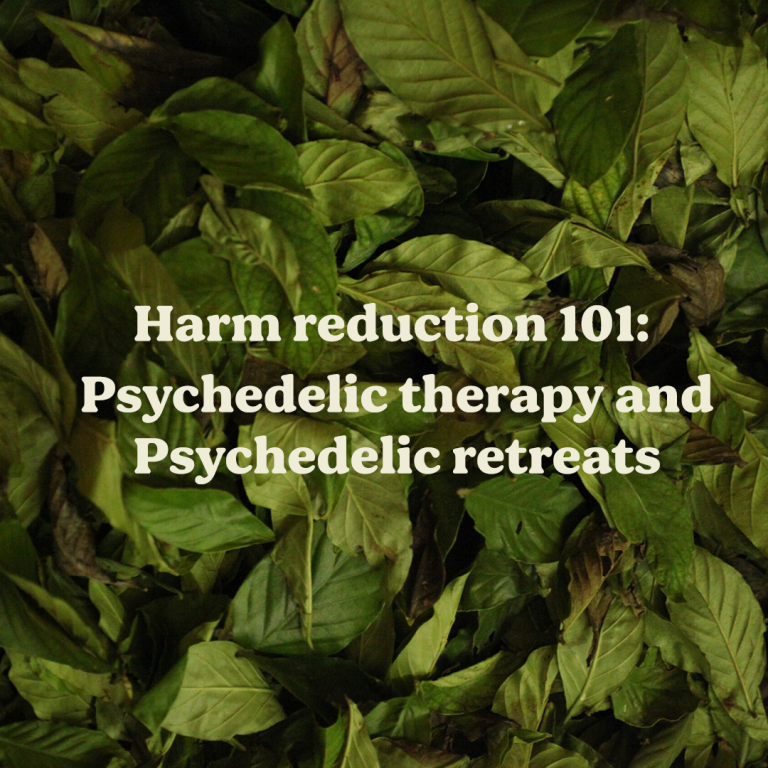 Harm reduction 101: Psychedelic therapy and psychedelic retreats