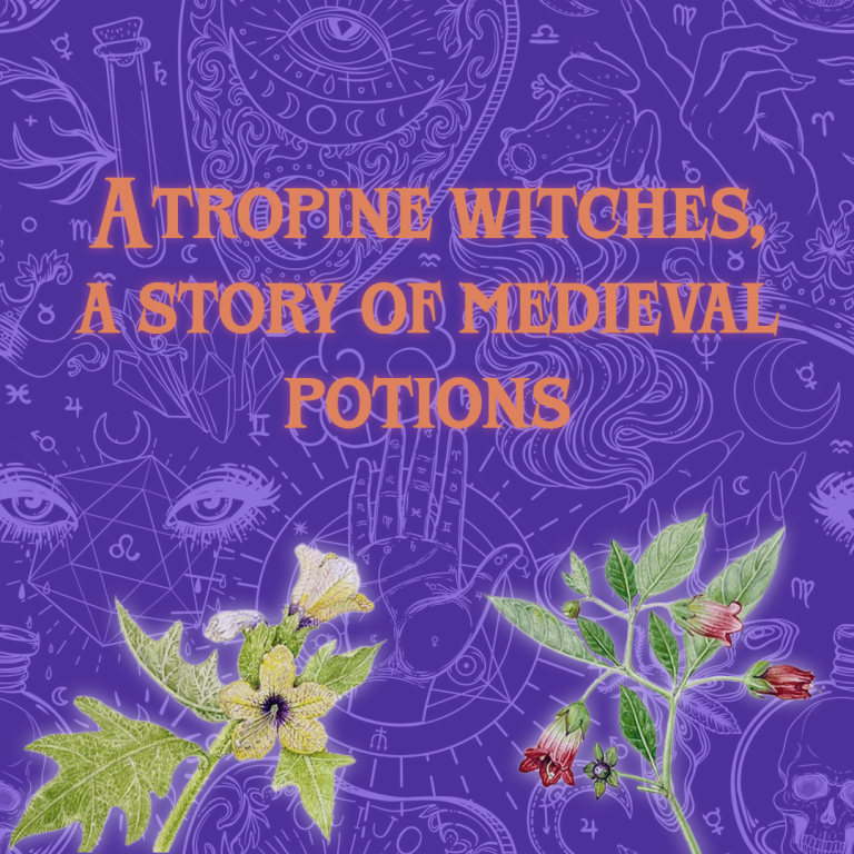 Atropine witches, a story of medieval potions