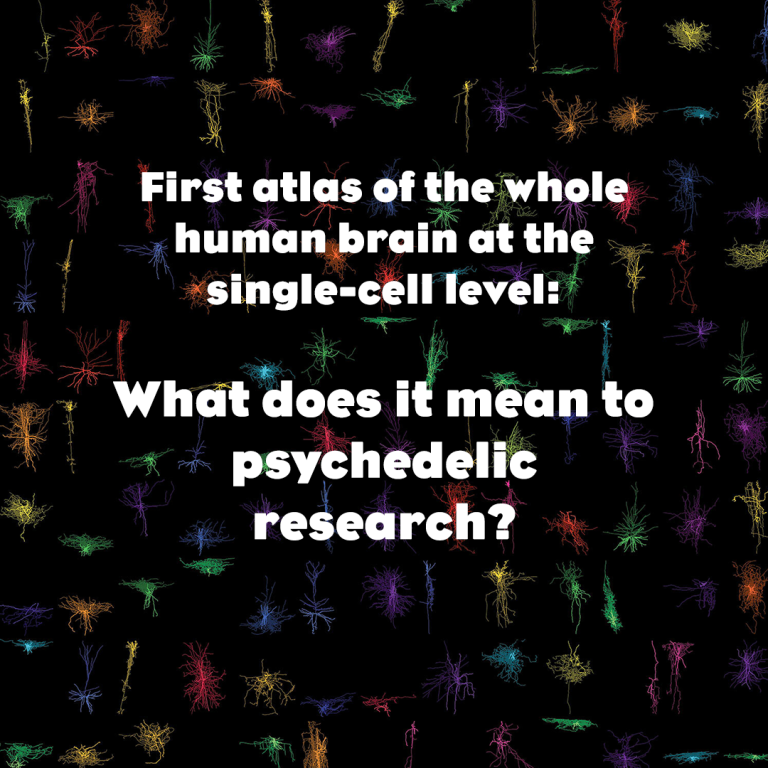 First atlas of the whole human brain at the single-cell level: What does it mean for Psychedelic Research?