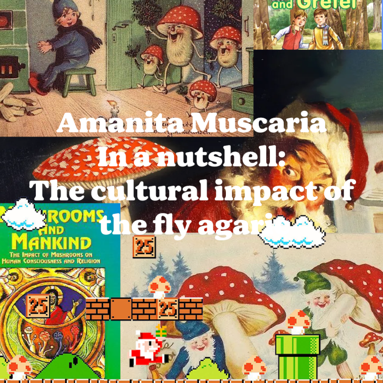 Amanita Muscaria In a nutshell: The cultural impact of the fly agaric