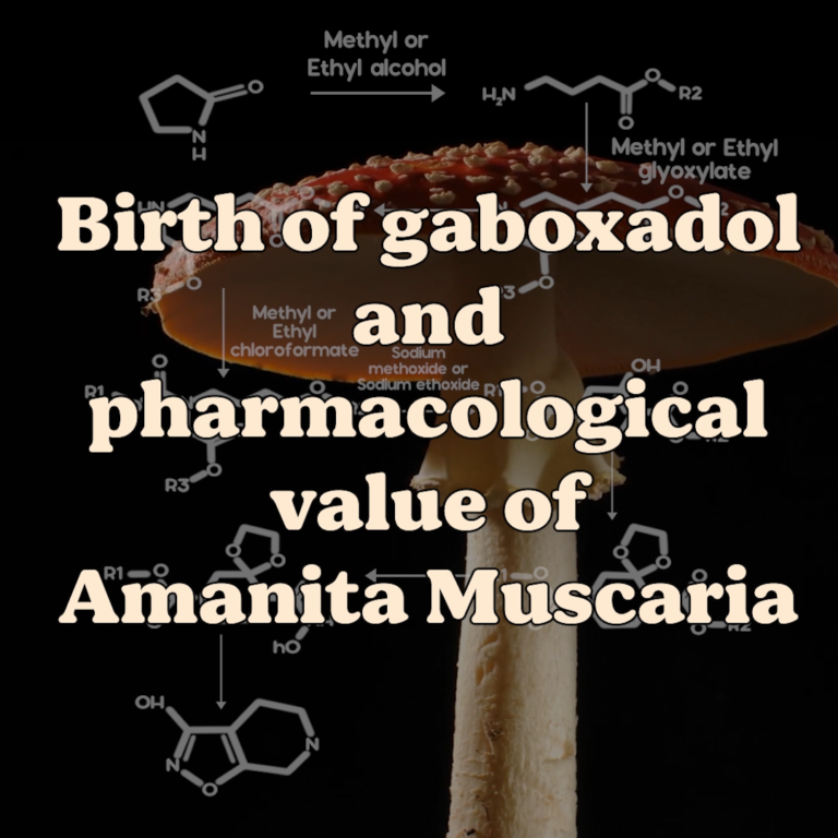 Amanita in a nutshell: The birth of Gaboxadol and pharmacological value of Amanita