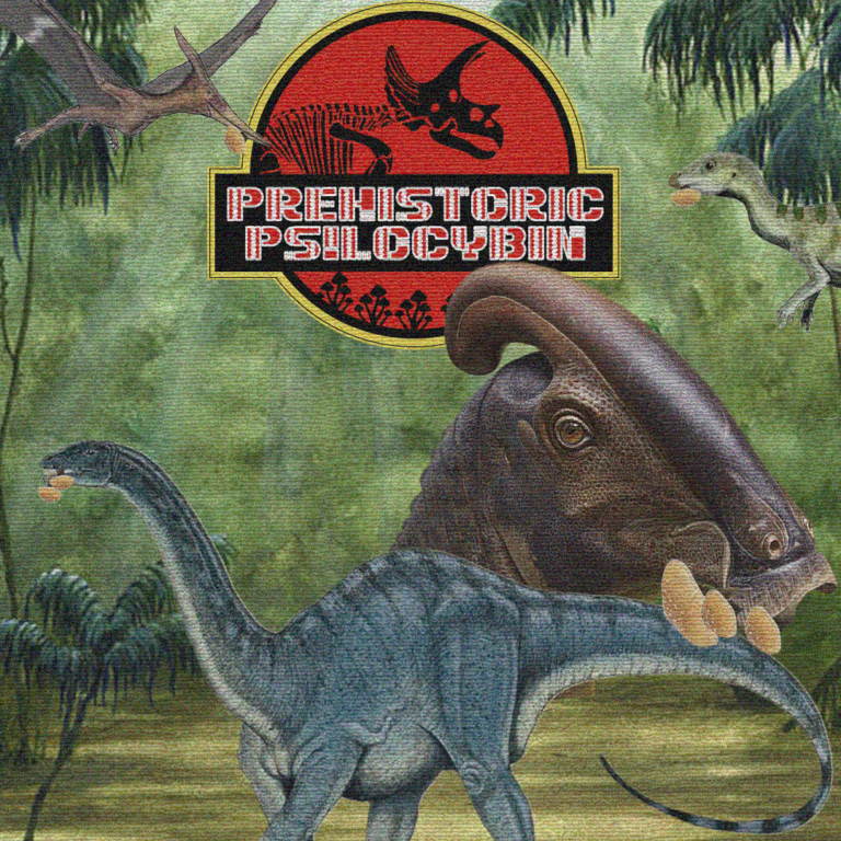 Prehistoric Psilocybin