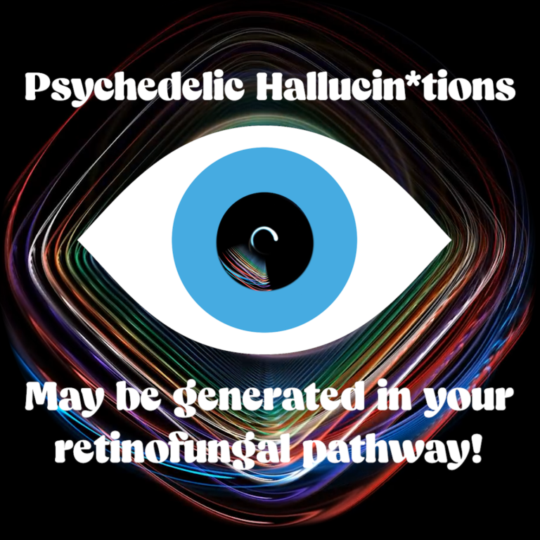 Psychedelic Hallucinations may be generated in our  retinofungal pathway!