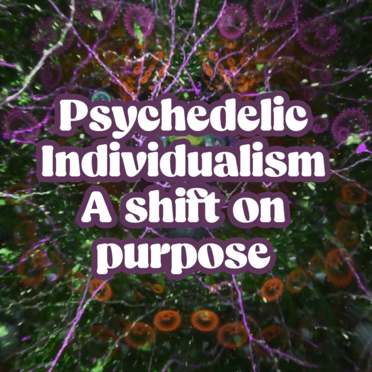 Psychedelic Individualism, a shift on purpose