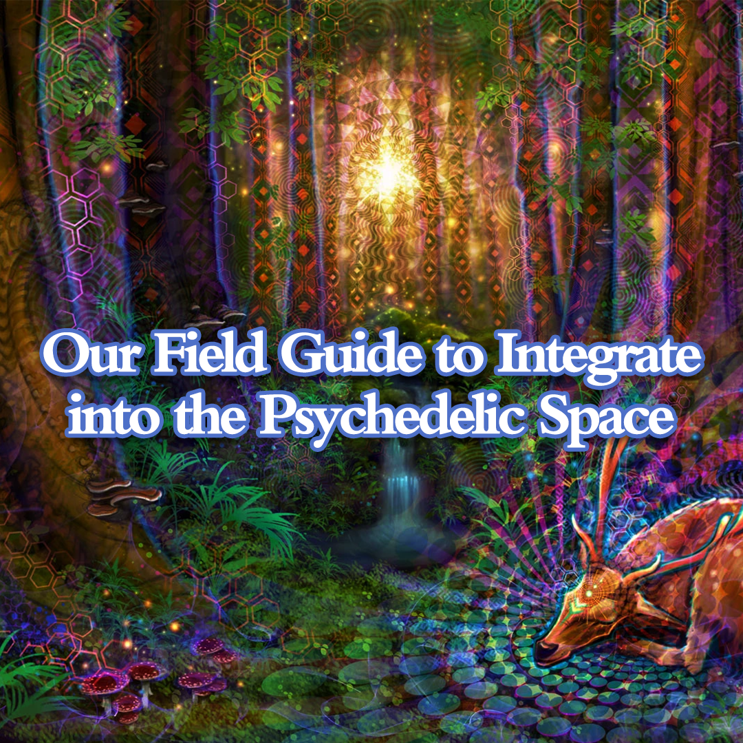 Our field guide to enter the Psychedelic Space