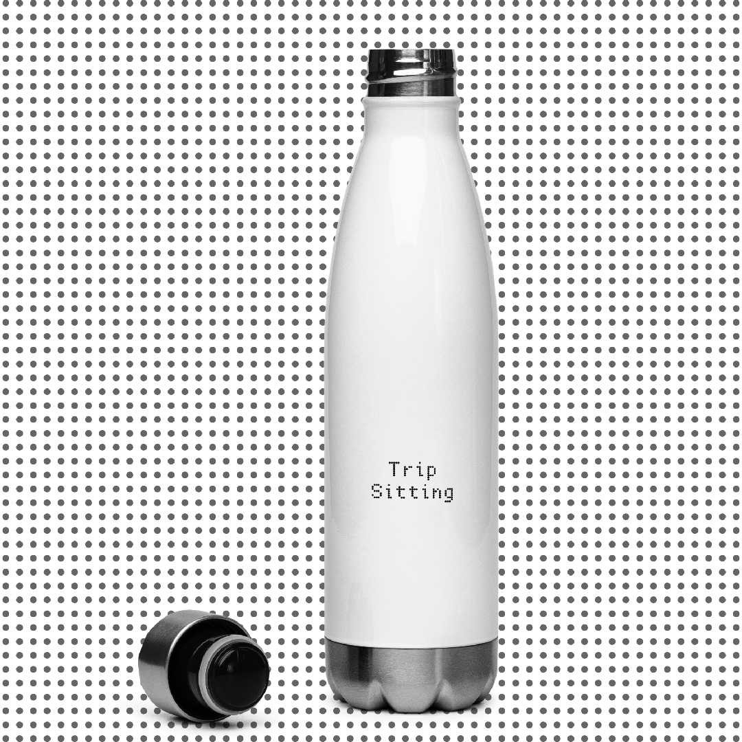 Trip Sitting 17-ounce Stainless steel water bottle