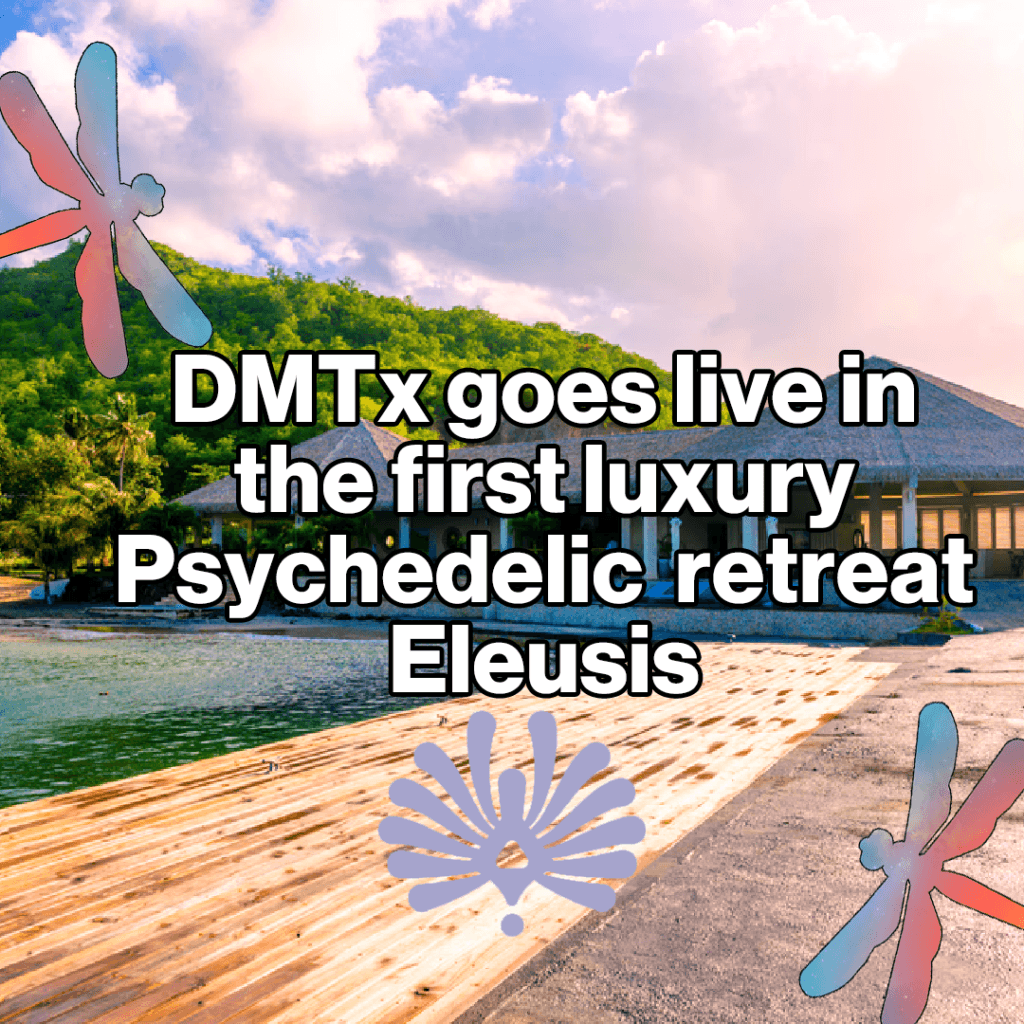 Eleusis the first luxury psychedelic retreat is hosting DMTx, here is what you need to know!