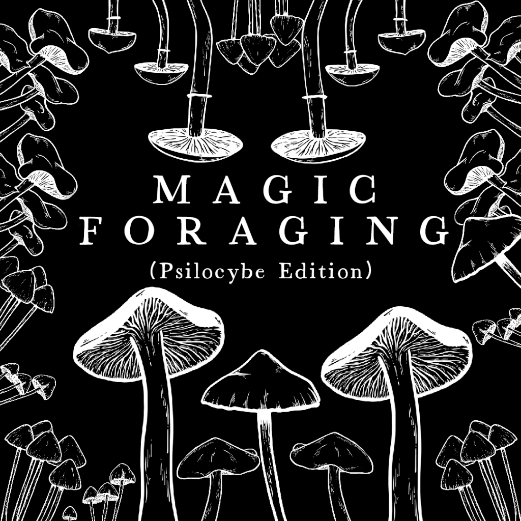 Magic Foraging (Psilocybe Edition)