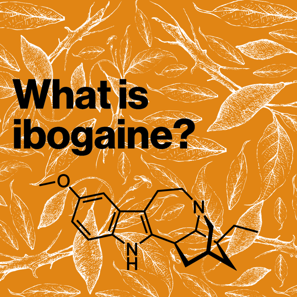 What Is Ibogaine? Uses, Effects, Risks & Addiction Treatment Explained​
