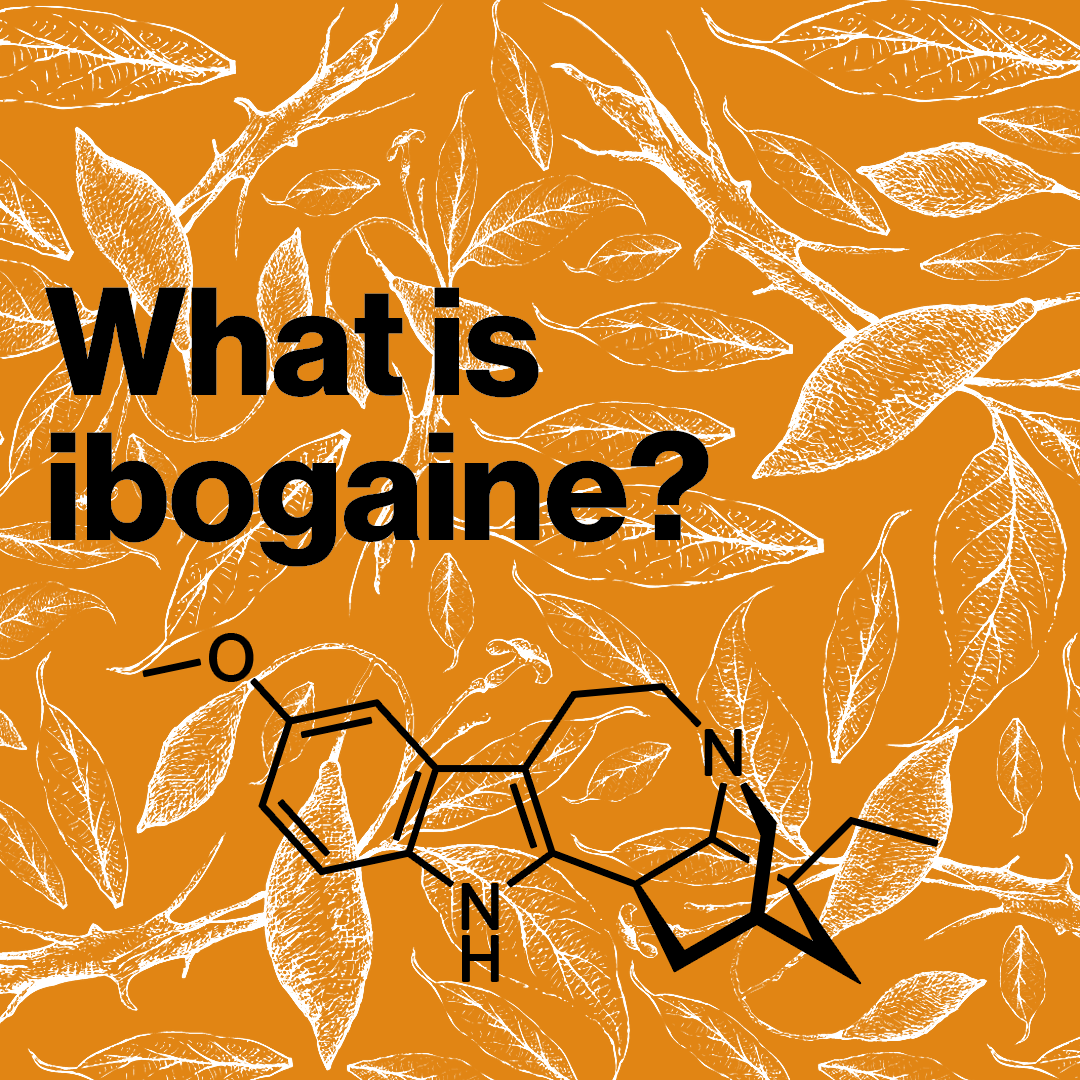 What Is Ibogaine? Uses, Effects, Risks & Addiction Treatment Explained​