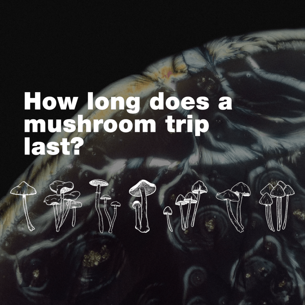 How Long Does a Magic Mushroom Trip Last? Psilocybin Effects Explained