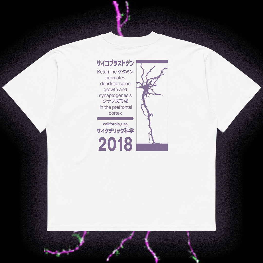 Psychoplastogens: Ketamine - Unisex organic cotton oversized high neck t-shirt