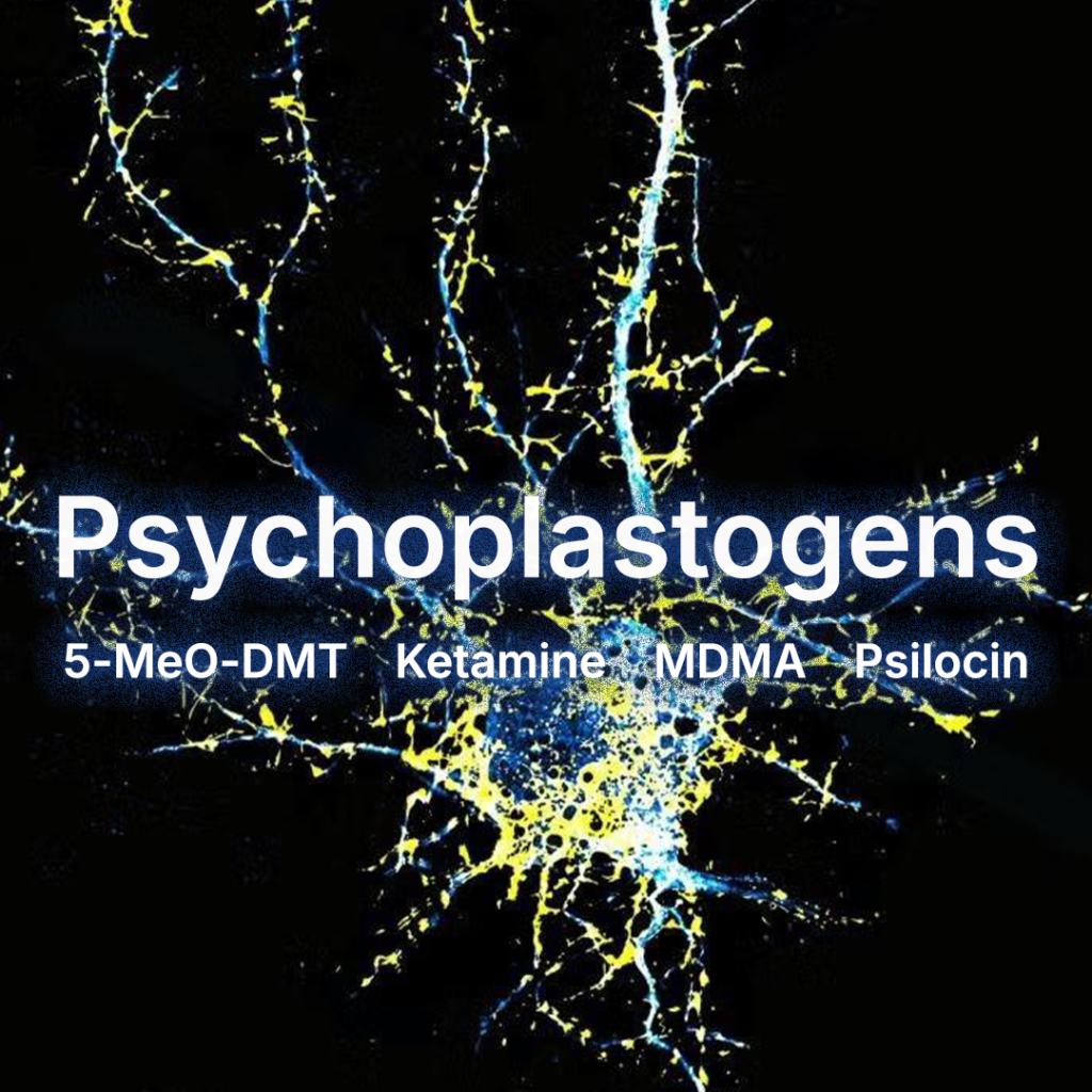 Psychoplastogens collection