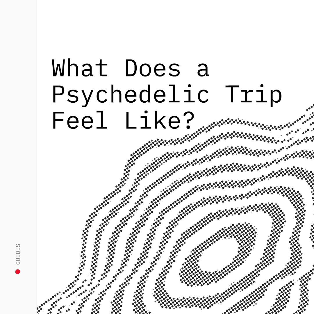 What Does a Psychedelic Trip Feel Like? Stages, Effects & Expectations