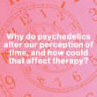 Why do psychedelics alter our perception of time, and how could that affect Psychedelic therapy?