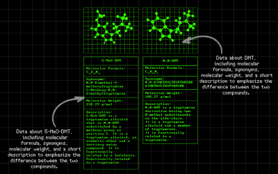 Screenshot-2026-01-28-140652