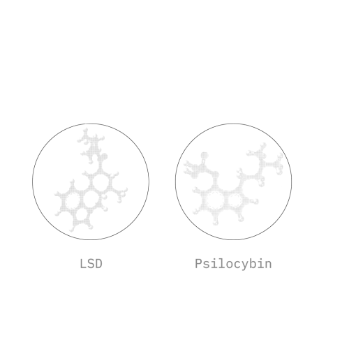 LSD vs Psilocybin: What are the differences?​