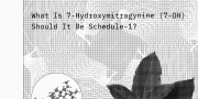 What is 7-OH and Should It Be Schedule 1?